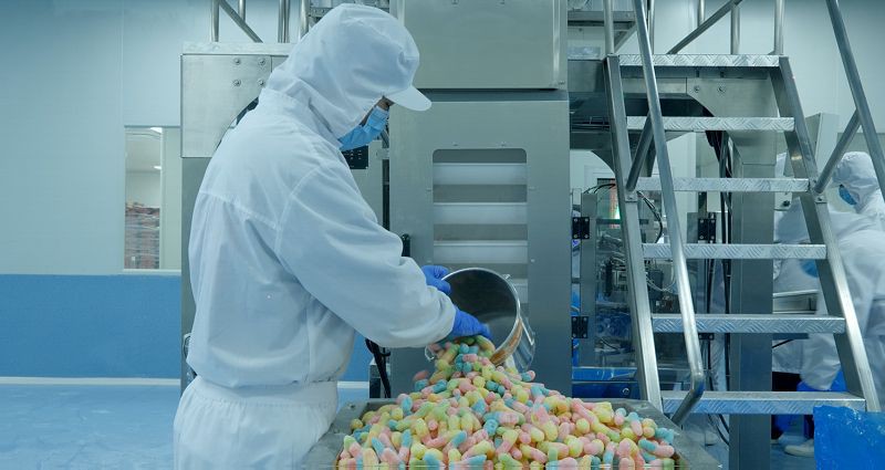 Raw Material Checking Raw Material Checking